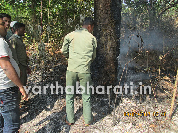 ಪರ್ಕಳ: ಬೆಂಕಿ ಹಿಡಿದ ಮರದ ರಕ್ಷಣೆ